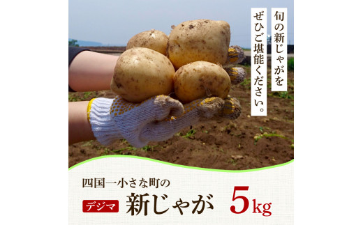 ★先行受付：2026年5月発送開始★大野台地で採れた令和8年産新じゃがいも『デジマ』5kg 5キロ イモ ジャガイモ 芋 いも ポテト 野菜 おいしい ふっくら 旬 国産 お取り寄せ 送料無料