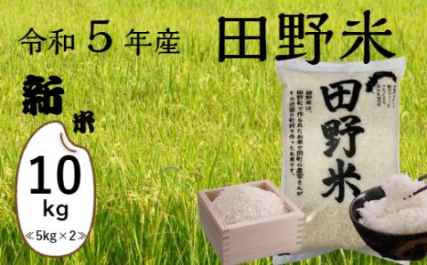 ★ 令和5年産 新米 ★【四国一小さなまち】 田野米  10kg （ 5kg × 2袋 ） ～ 精米 ・ 白米 ～