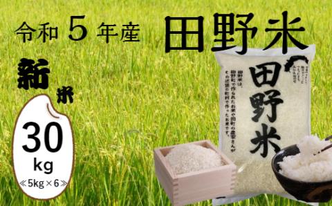 ★ 令和5年産 新米 ★【四国一小さなまち】 田野米  30kg （ 5kg × 6袋 ） ～ 精米 ・ 白米 ～