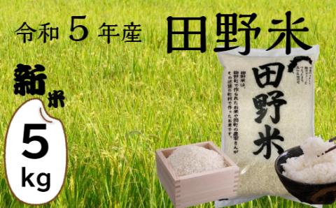 ★ 令和5年産 新米 ★【四国一小さなまち】 田野米 5kg （ 5kg × 1袋 ） ～ 精米 ・ 白米 ～
