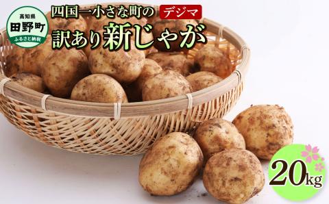 ★先行受付：2024年5月発送開始★大野台地で採れた 令和6年産新じゃがいも『デジマ』20kg 訳あり品