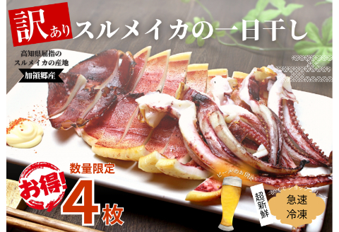 【四国一小さなまち】《カネアリ水産》数量限定★訳あり★スルメイカの一日干し　4枚入り （ 冷凍 ）