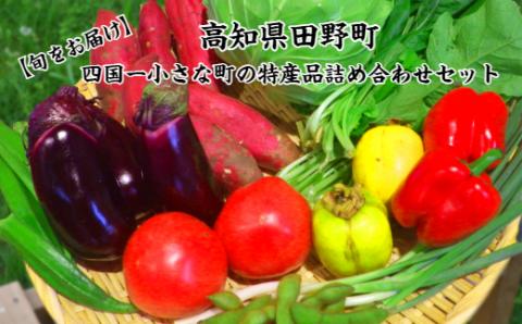 四国一小さな町の特産品詰め合わせセット 野菜 詰め合わせ セット 季節の野菜 旬の野菜 旬 特産 新鮮 田野町 道の駅 サラダ 根菜 やさい お楽しみ 野菜セット 特産品 常温 冷蔵