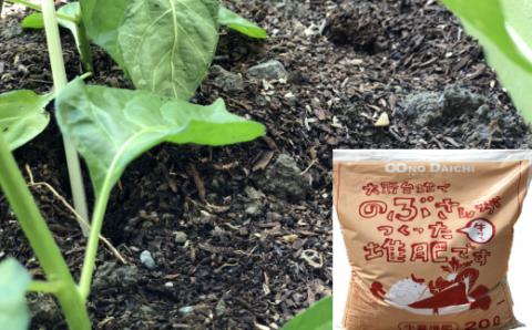 【四国一小さなまち】のぶさんがつくった牛フン堆肥　20L（約6㎏）×2袋