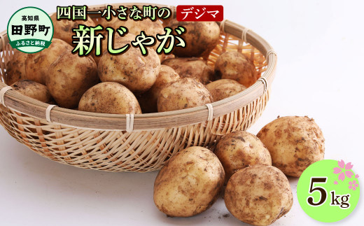 ★先行受付：2026年5月発送開始★大野台地で採れた令和8年産新じゃがいも『デジマ』5kg 5キロ イモ ジャガイモ 芋 いも ポテト 野菜 おいしい ふっくら 旬 国産 お取り寄せ 送料無料