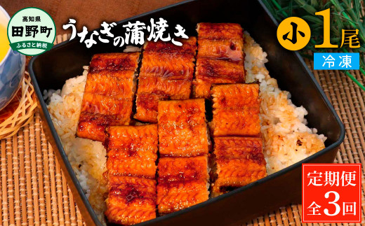 田野町産うなぎの蒲焼き(小) 1尾×3回 定期便 3ヶ月 定期コース 1尾あたり90～120g タレ付き 山椒付き うなぎ 鰻 ウナギ 蒲焼き かば焼き 無頭 おいしい 国産 お取り寄せ 冷凍 配送