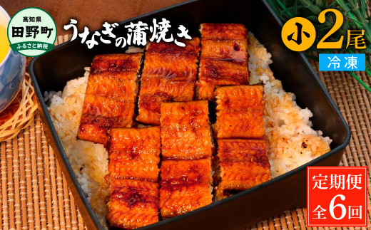 田野町産うなぎの蒲焼き(小) 2尾×6回 定期便 6ヶ月 定期コース 1尾あたり90～120g タレ付き 山椒付き うなぎ 鰻 ウナギ 蒲焼き かば焼き 無頭 おいしい 国産 お取り寄せ 冷凍 配送