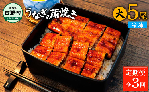 田野町産うなぎの蒲焼き(大) 5尾×3回 定期便 3ヶ月 定期コース 1尾あたり120～150g タレ付き 山椒付き うなぎ 鰻 ウナギ 蒲焼き かば焼き 無頭 おいしい 国産 お取り寄せ 冷凍 配送