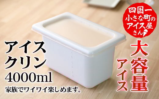 【四国一小さなまちのアイス屋さん】≪松崎冷菓≫大容量アイス 4000ml ★アイスクリン★  4l スイーツ デザート おすすめ 美味しい 高知県 田野町