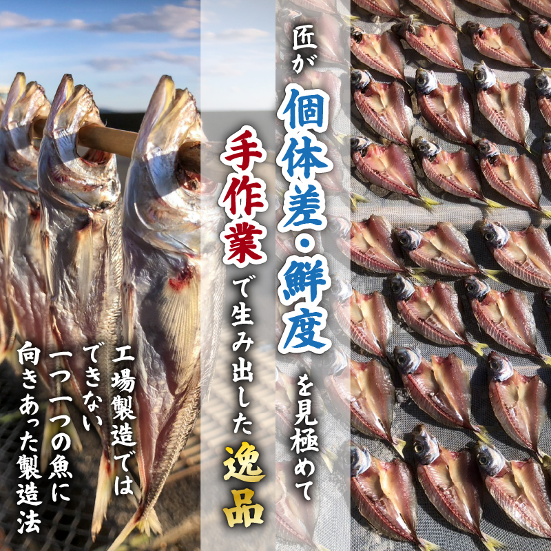 【 訳あり だけど逸品！】安田町 プロ厳選！ 訳あり 干物 セット 極上 国産 干物  3～6種 1000g  極上 詰め合わせ タイ イカ サバ アジ イワシ カツオ ウルメ 無添加 冷蔵 高級 海産物店直送 セット 美味しい 本場 高知 水産事業者支援 ひもの 干物セット コスパ ランキング 人気 高知 安田町 HM-0002