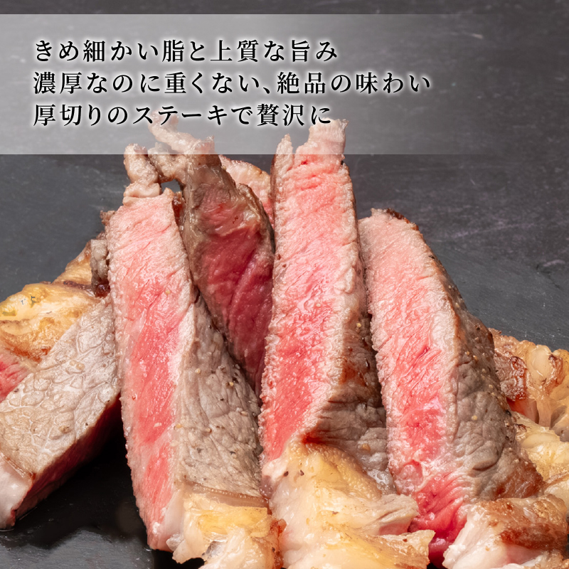 ｢土佐あかうし｣サーロインステーキ300g×2枚 希少 土佐あかうし サーロイン 約300g×2枚 600g  牛肉 冷凍 国産 ローストビーフ すきやき（すき焼き）しゃぶしゃぶ 鍋 国産牛 牛サーロイン ステーキ 和牛 ブランド牛 赤身 お肉 あか牛 赤牛 人気 年末年始 クリスマス プレゼント 高知県産 安田町  MT-10