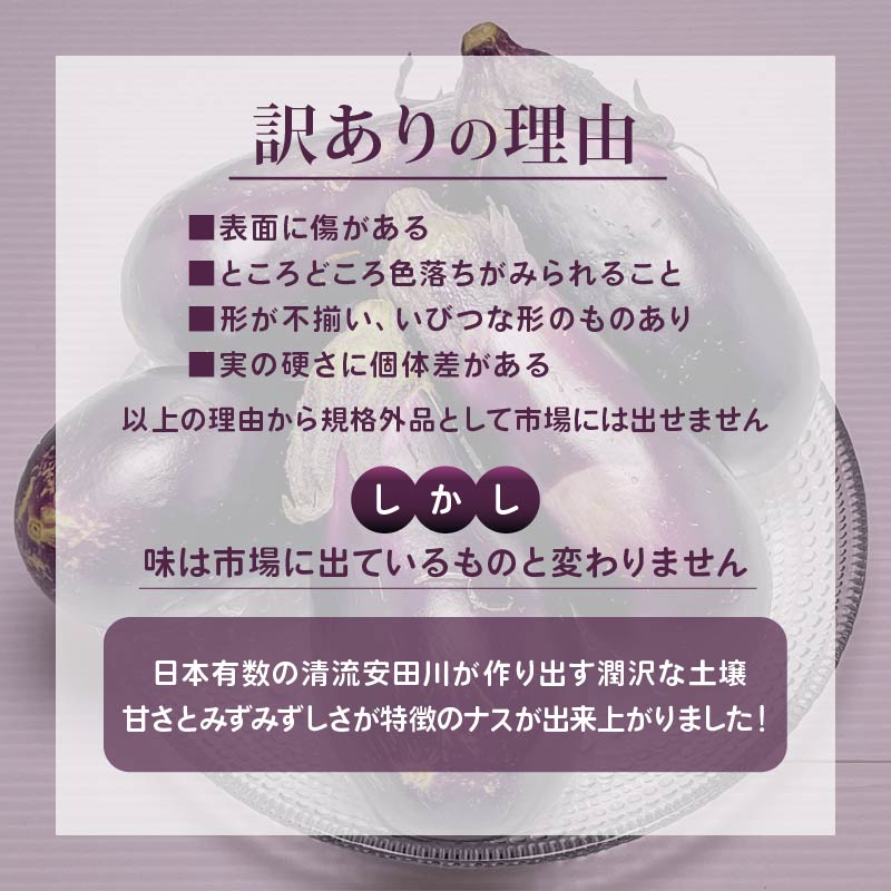 【1月中旬より発送】安田町産 「超」 訳あり ナス なす 1kg  新鮮 野菜 茄子 産地直送 季節限定 夏野菜 ふるさと納税茄子  ふるさと納税なす 人気 年末年始 クリスマス プレゼント 高知 安田町 TR-0001