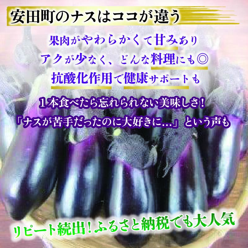 安田町産新鮮ナス20~24本の定期便 2回発送 2か月 2回 定期便 ナス 20本以上 野菜 茄子 産地直送 早期予約 季節限定 夏野菜 ふるさと納税茄子 ふるさと納税なす 人気 年末年始 クリスマス プレゼント 高知 安田町 TR-2000