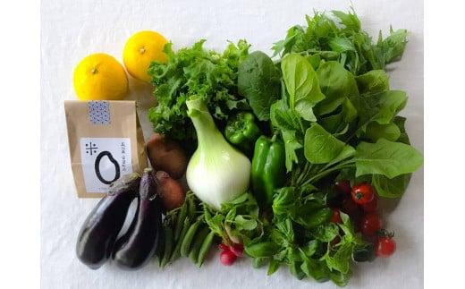 お米2合 野菜8~10品目セット 米 2合 野菜 8～10品 セット 詰め合わせ  お米 300g  白米 ヒノヒカリ 採れたて 家計応援 果物 やさい フルーツ 使い切り トマト なす  ブランド米 精米 人気 年末年始 クリスマス プレゼント 高知県 安田町 MR-01