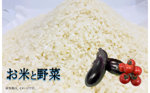 令和7年 新米 ヒノヒカリ 5kg ちょっと野菜の詰め合わせ 令和7年産 米 早期予約 5kg  野菜 セット 詰め合わせ ヒノヒカリ 新米 お米 白米 トマト なす みかん 新鮮 採れたて おこめ  産地直送 人気 年末年始 クリスマス プレゼント 高知県 安田町 TR-02