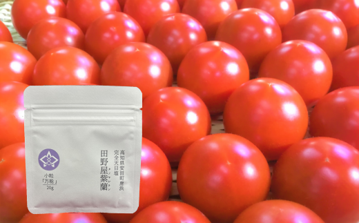 安田町産 完全天日塩 新鮮とトマト セット 先行受付 完熟 トマト と 完全天日塩 セット  産地直送 新鮮 もぎたて 塩職人 手作り 野菜 とまと 海水 塩 田野屋 紫蘭 人気 年末年始 クリスマス プレゼント 高知 安田町  TR-19