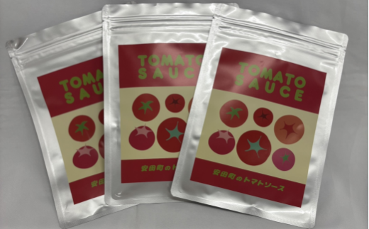安田町 トマトソース 3袋 詰め合わせ トマトソース 天日塩 使用 170g x 3袋 パスタ ソース 野菜 や 肉 魚介 とスープ に レトルト食品 レトルトスープ レトルト トマトピューレ 調味料 濃厚 人気 年末年始 クリスマス プレゼント 高知県 安田町  TR-25