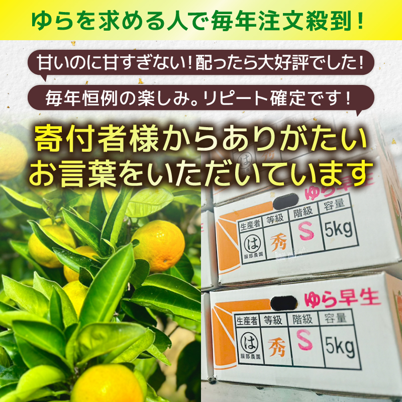 服部さんが育てたみかん｢極早生ゆら｣Ｓサイズ 5kg 服部農園 極早生 ゆら 由良 みかん Sサイズ 5Kg  小玉 早生 緑みかん 果物 フルーツ くだもの 完熟 柑橘 甘い 酸味 濃厚 蜜柑 常温 家庭用 高知県 安田町 HT-02