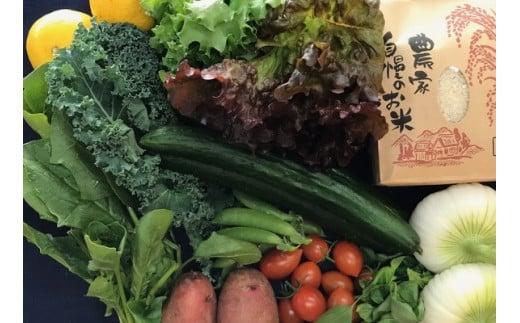 お米2合 野菜8~10品目セット 米 2合 野菜 8～10品 セット 詰め合わせ  お米 300g  白米 ヒノヒカリ 採れたて 家計応援 果物 やさい フルーツ 使い切り トマト なす  ブランド米 精米 人気 年末年始 クリスマス プレゼント 高知県 安田町 MR-01