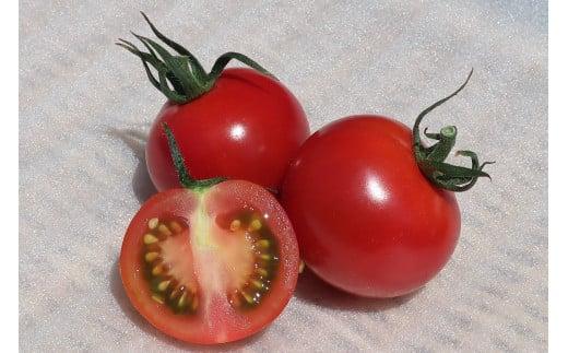 安田町産 完全天日塩 新鮮とトマト セット 先行受付 完熟 トマト と 完全天日塩 セット  産地直送 新鮮 もぎたて 塩職人 手作り 野菜 とまと 海水 塩 田野屋 紫蘭 人気 年末年始 クリスマス プレゼント 高知 安田町  TR-19