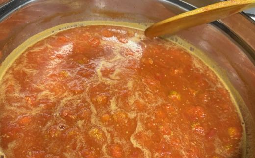 安田町 トマトソース 3袋 詰め合わせ トマトソース 天日塩 使用 170g x 3袋 パスタ ソース 野菜 や 肉 魚介 とスープ に レトルト食品 レトルトスープ レトルト トマトピューレ 調味料 濃厚 人気 年末年始 クリスマス プレゼント 高知県 安田町  TR-25