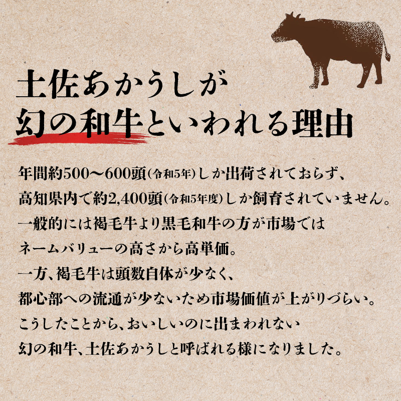 ｢土佐あかうし｣切り落とし600g 牛肉 和牛 切り落とし 600g 土佐あかうし 土佐 あかうし ブランド牛 国産 国産牛 人気 ローストビーフ お取り寄せ すきやき（すき焼き）しゃぶしゃぶ 鍋 冷凍 BBQ バーベキュー 焼肉 焼き肉 贈答 人気 年末年始 クリスマス プレゼント 高知 安田町 MT-01