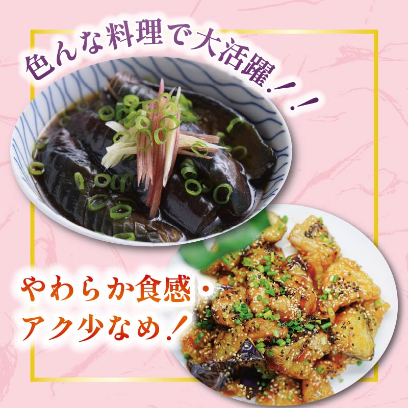 収穫したその日に発送する新鮮ナス便 約50本程度 採れたて なす 約50本 新鮮 小分け 茄子 野菜 旬 やさい 浅漬け 漬物 産地直送 健康 人気 年末年始 クリスマス プレゼント 高知県 安田町 TR-0007