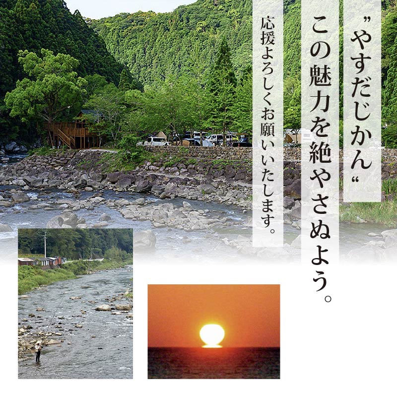 【3月から順次発送】安田町産 「超」 訳あり ナス なす 1kg  新鮮 野菜 茄子 産地直送 季節限定 夏野菜 ふるさと納税茄子  ふるさと納税なす 人気 年末年始 クリスマス プレゼント 高知 安田町 TR-0010
