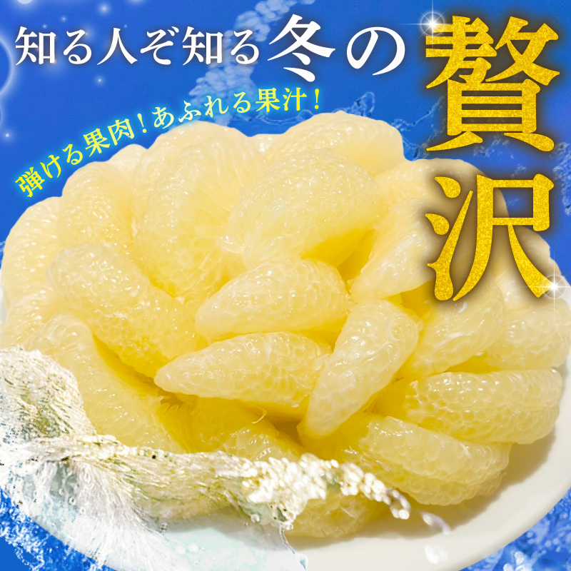 毎月お届け ふるさと安田の定期便 5回 定期便 5回 5ヶ月 5か月 かつおのたたき あか牛 日本酒 セット 土佐 あかうし 鰹たたき かつお 土佐鶴 純米大吟醸 大吟醸 オススメ 冷凍 毎月 お届け 人気 年末年始 クリスマス プレゼント 高知県 安田町 YS-12