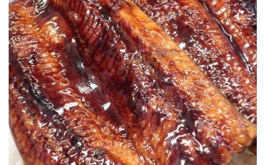 【カツオ ＆ うなぎ の高知の名産セット！】カツオのたたき 国産うなぎ蒲焼き 半年定期便 6ヶ月 定期便 藁焼き タタキ かつお たたき 国産 ウナギ 蒲焼き 鰻 かば焼 かばやき 鰹たたき 鰹 魚 魚介類 刺身 高知 本場 人気 鰹のたたき クリスマス 年末年始 人気 プレゼント ふるさと納税 KT-01