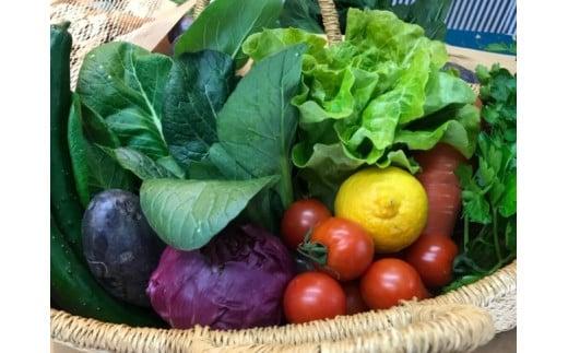 お米2合 野菜8~10品目セット 米 2合 野菜 8～10品 セット 詰め合わせ  お米 300g  白米 ヒノヒカリ 採れたて 家計応援 果物 やさい フルーツ 使い切り トマト なす  ブランド米 精米 人気 年末年始 クリスマス プレゼント 高知県 安田町 MR-01