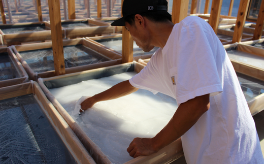 田野屋紫蘭の完全天日塩 清流安田川が育む土佐の海と太陽で育てた｢万能｣小粒100g×3個 田野屋紫蘭 塩 完全 天日塩 セット 万能 小粒 100g 3袋 しお 荒塩 あら塩 天然 料理 調味料 食塩 人気 年末年始 クリスマス プレゼント 高知県 安田町 TN-03