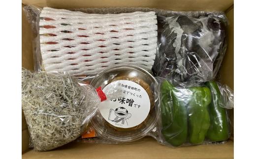 安田町のおいしいもの詰め合わせ 生パスタ 野菜 やさい 果物 フルーツ 米 調味料 スイーツ 加工品 旬 新鮮野菜 おまかせ 詰め合わせ セット 人気 年末年始 クリスマス プレゼント 高知 安田町 TR-06