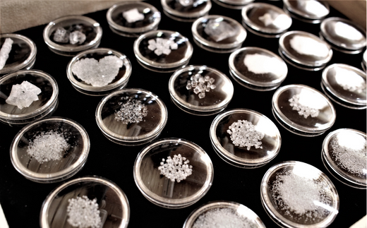 安田町産 完全天日塩 新鮮とトマト セット 先行受付 完熟 トマト と 完全天日塩 セット  産地直送 新鮮 もぎたて 塩職人 手作り 野菜 とまと 海水 塩 田野屋 紫蘭 人気 年末年始 クリスマス プレゼント 高知 安田町  TR-19