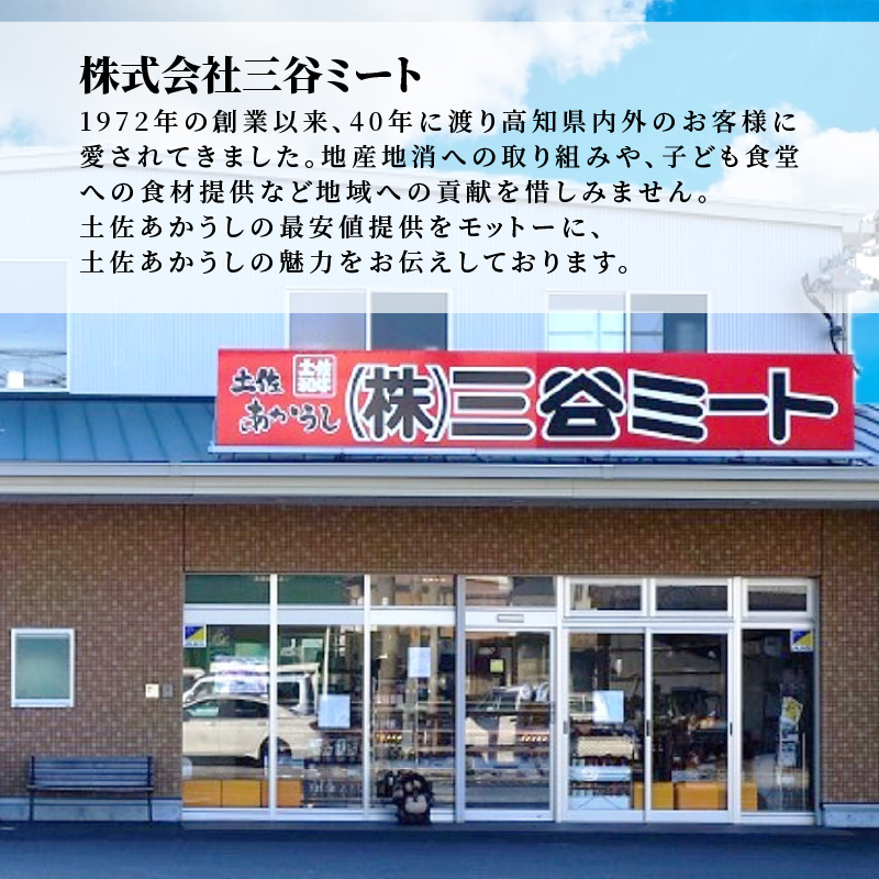 ｢土佐あかうし｣サーロインステーキ300g×2枚 希少 土佐あかうし サーロイン 約300g×2枚 600g  牛肉 冷凍 国産 ローストビーフ すきやき（すき焼き）しゃぶしゃぶ 鍋 国産牛 牛サーロイン ステーキ 和牛 ブランド牛 赤身 お肉 あか牛 赤牛 人気 年末年始 クリスマス プレゼント 高知県産 安田町  MT-10