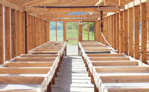 田野屋紫蘭の完全天日塩 清流安田川が育む土佐の海と太陽で育てた2種類セット 田野屋紫蘭 塩 完全 天日塩 セット 2種 100g 2袋 しお 荒塩 あら塩 天然 料理 調味料 食塩 詰め替え 人気 年末年始 クリスマス プレゼント 高知県 安田町 TN-01