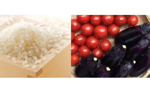 令和7年 新米 ヒノヒカリ 5kg ちょっと野菜の詰め合わせ 令和7年産 米 早期予約 5kg  野菜 セット 詰め合わせ ヒノヒカリ 新米 お米 白米 トマト なす みかん 新鮮 採れたて おこめ  産地直送 人気 年末年始 クリスマス プレゼント 高知県 安田町 TR-02