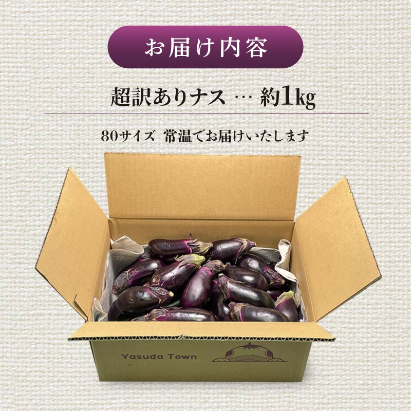 【3月から順次発送】安田町産 「超」 訳あり ナス なす 1kg  新鮮 野菜 茄子 産地直送 季節限定 夏野菜 ふるさと納税茄子  ふるさと納税なす 人気 年末年始 クリスマス プレゼント 高知 安田町 TR-0010