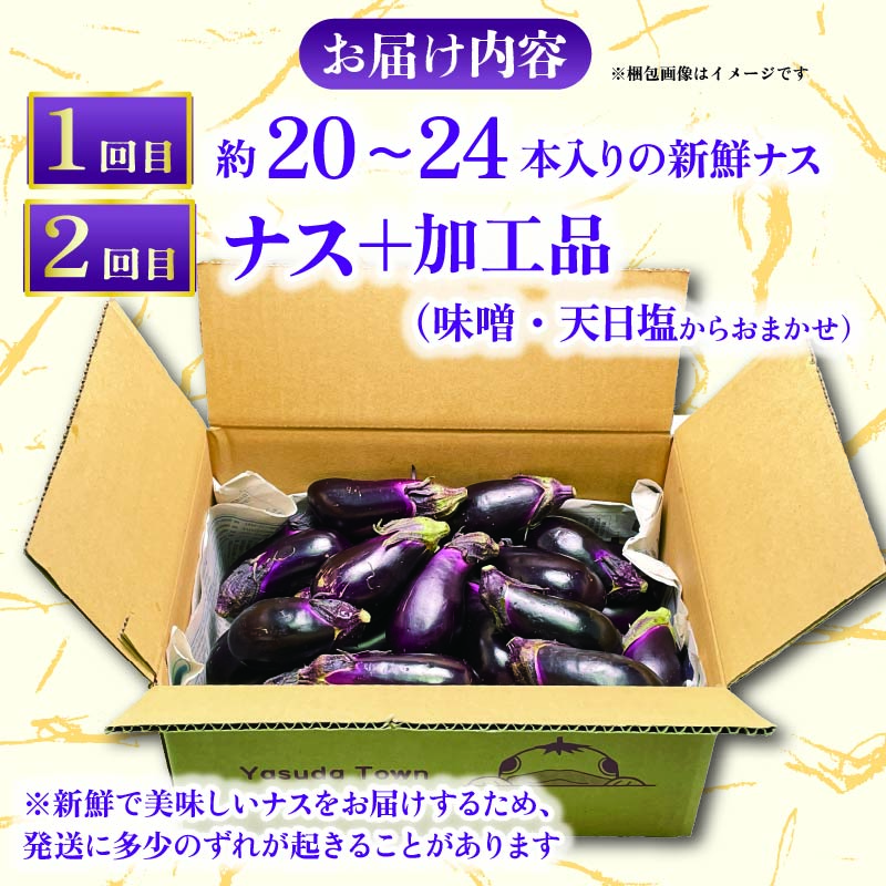 安田町産新鮮ナス20~24本の定期便 2回発送 2か月 2回 定期便 ナス 20本以上 野菜 茄子 産地直送 早期予約 季節限定 夏野菜 ふるさと納税茄子 ふるさと納税なす 人気 年末年始 クリスマス プレゼント 高知 安田町 TR-2000