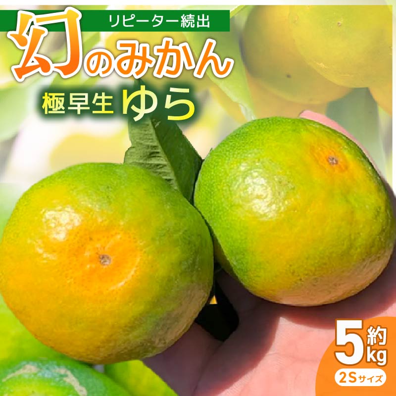服部さんが育てたみかん｢極早生ゆら｣2Sサイズ 5kg 服部農園 極早生 ゆら 由良 みかん 2Sサイズ 5Kg  小玉 早生 緑みかん 果物 フルーツ くだもの 完熟 柑橘 甘い 酸味 濃厚 蜜柑 常温 家庭用 人気 高知県 安田町 HT-01