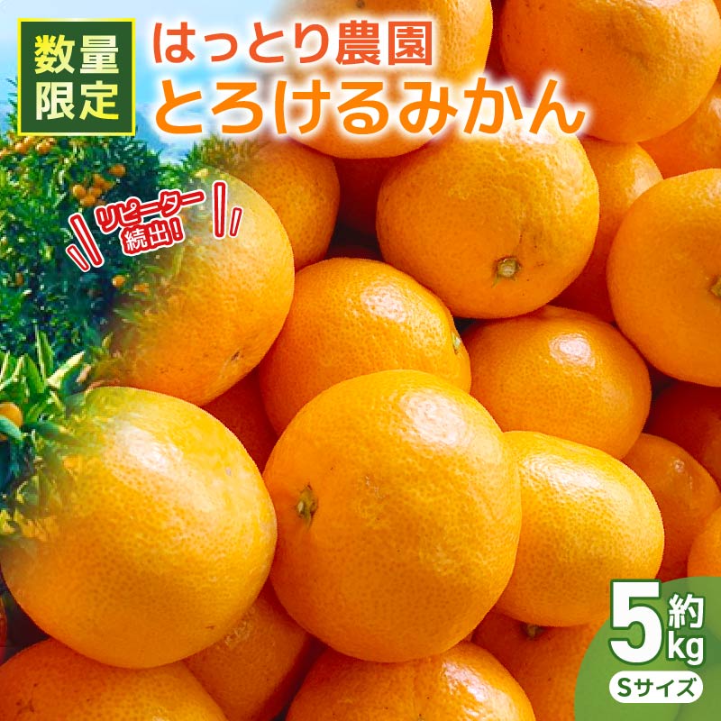 安田町生まれはっとり育ち。の「とろけるみかん」５Kg（サイズＳ）早期予約 家庭用 みかん 5kg Sサイズ 柑橘 蜜柑 ゆら早生 期間限定 文旦 季節限定 先行予約 ふるさと納税 人気 年末年始 クリスマス プレゼント 高知 安田町 HT-04