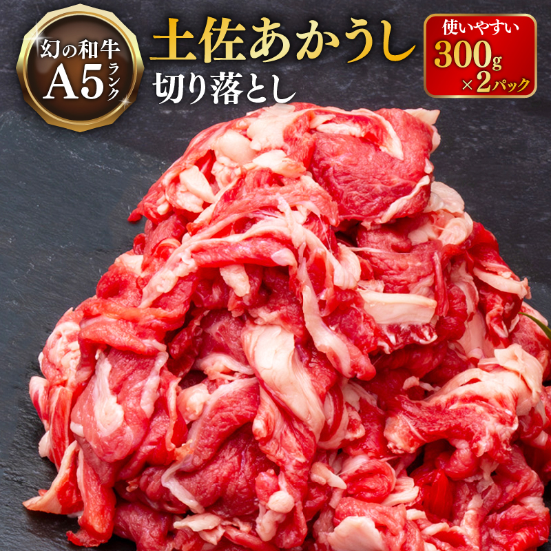 ｢土佐あかうし｣切り落とし600g 牛肉 和牛 切り落とし 600g 土佐あかうし 土佐 あかうし ブランド牛 国産 国産牛 人気 ローストビーフ お取り寄せ すきやき（すき焼き）しゃぶしゃぶ 鍋 冷凍 BBQ バーベキュー 焼肉 焼き肉 贈答 人気 年末年始 クリスマス プレゼント 高知 安田町 MT-01
