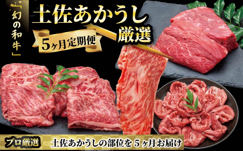 希少 土佐あかうし 定期便 5回 定期便 5回  土佐あかうし 厳選部位 牛肉  もも肉 ローストビーフ すきやき（すき焼き）しゃぶしゃぶ 鍋 ブロック サーロイン ステーキ しゃぶしゃぶ用 スライス カルビ 焼肉用 冷凍 国産 国産牛 和牛 ブランド牛 赤身 お肉 にく 人気 年末年始 クリスマス プレゼント 高知県産 安田町  MT-13