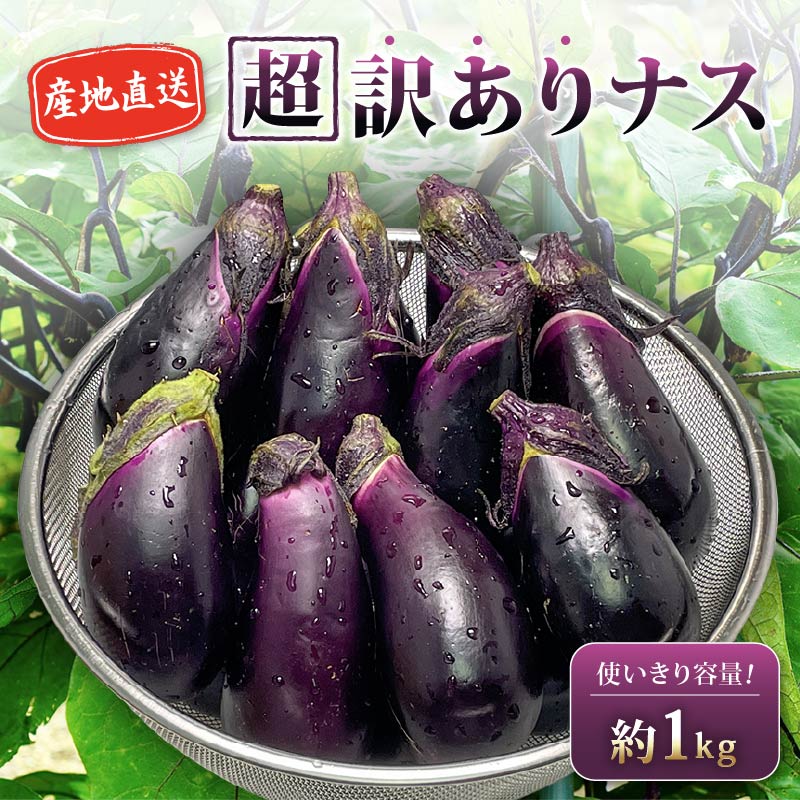 【1月中旬より発送】安田町産 「超」 訳あり ナス なす 1kg  新鮮 野菜 茄子 産地直送 季節限定 夏野菜 ふるさと納税茄子  ふるさと納税なす 人気 年末年始 クリスマス プレゼント 高知 安田町 TR-0001