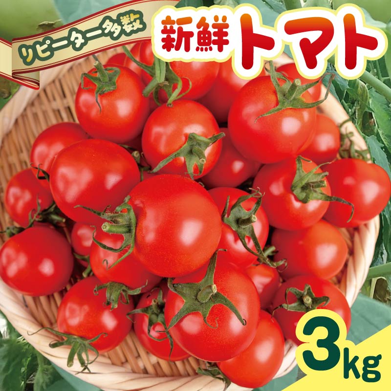 安田町産 愛情たっぷり新鮮トマト3kg 新鮮 トマト 数量限定 詰め合わせ セット 甘い 旬 野菜 3kg 3キロ 採れたて くだもの 夏野菜  ギフト ふるさと納税 人気 年末年始 クリスマス プレゼント 高知県 安田町  TR-04