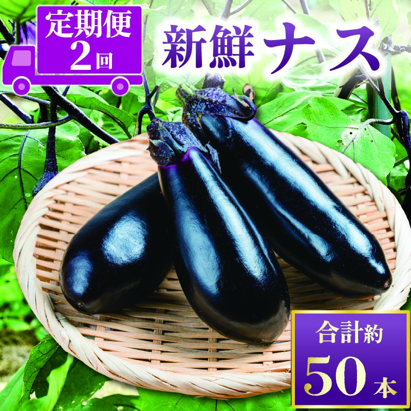 安田町産新鮮ナス20~24本の定期便 2回発送 2か月 2回 定期便 ナス 20本以上 野菜 茄子 産地直送 早期予約 季節限定 夏野菜 ふるさと納税茄子 ふるさと納税なす 人気 年末年始 クリスマス プレゼント 高知 安田町 TR-2000