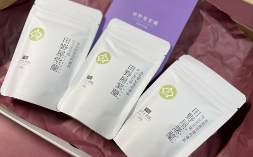 田野屋紫蘭の完全天日塩 清流安田川が育む土佐の海と太陽で育てた｢コクと余韻｣大粒100g×3個 田野屋紫蘭 塩 完全 天日塩 セット コクと余韻 大粒 100g 3袋 しお 荒塩 あら塩 食塩 詰め替え ミネラル 土佐 人気 年末年始 クリスマス プレゼント 高知県 安田町 TN-02