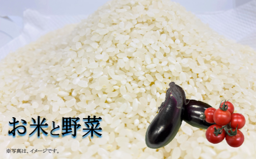 令和7年 新米 ヒノヒカリ 5kg ちょっと野菜の詰め合わせ 令和7年産 米 早期予約 5kg  野菜 セット 詰め合わせ ヒノヒカリ 新米 お米 白米 トマト なす みかん 新鮮 採れたて おこめ  産地直送 人気 年末年始 クリスマス プレゼント 高知県 安田町 TR-02