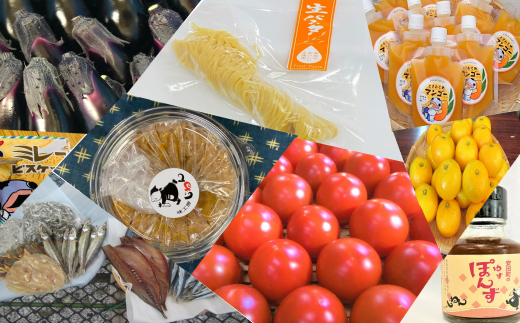 もっと！ おいしいものセット 野菜 果物 パスタ 海産品 調味料 詰め合わせ セット 1万円 10000円 生パスタ 干物 お菓子 スイーツ 海産物 加工品 ポン酢 味噌 人気 年末年始 クリスマス プレゼント 高知県 安田町 TR-07