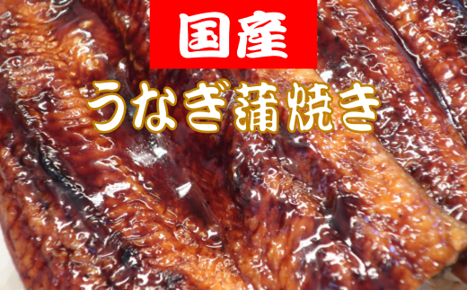 国産うなぎの蒲焼 約150g×2匹 うなぎ 鰻 150g×2匹 300g 国産 蒲焼  冷凍 特製タレ 山椒 付き うな重 うな丼 ひつまぶし 土用の丑の日 かばやき ご飯 米 ごはん 人気 人気 年末年始 クリスマス プレゼント 高知県 安田町 TR-08